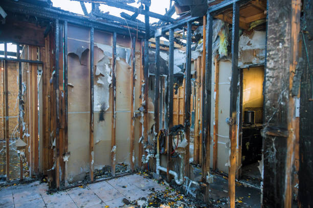 Professional Smoke Damage Removal technician working in Mills, WY